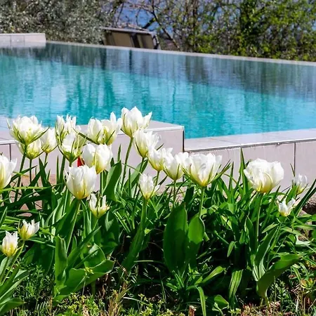 Apartamento Maggiore
